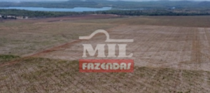 Fazenda em Imperatriz - Maranhão  – Mil Fazendas