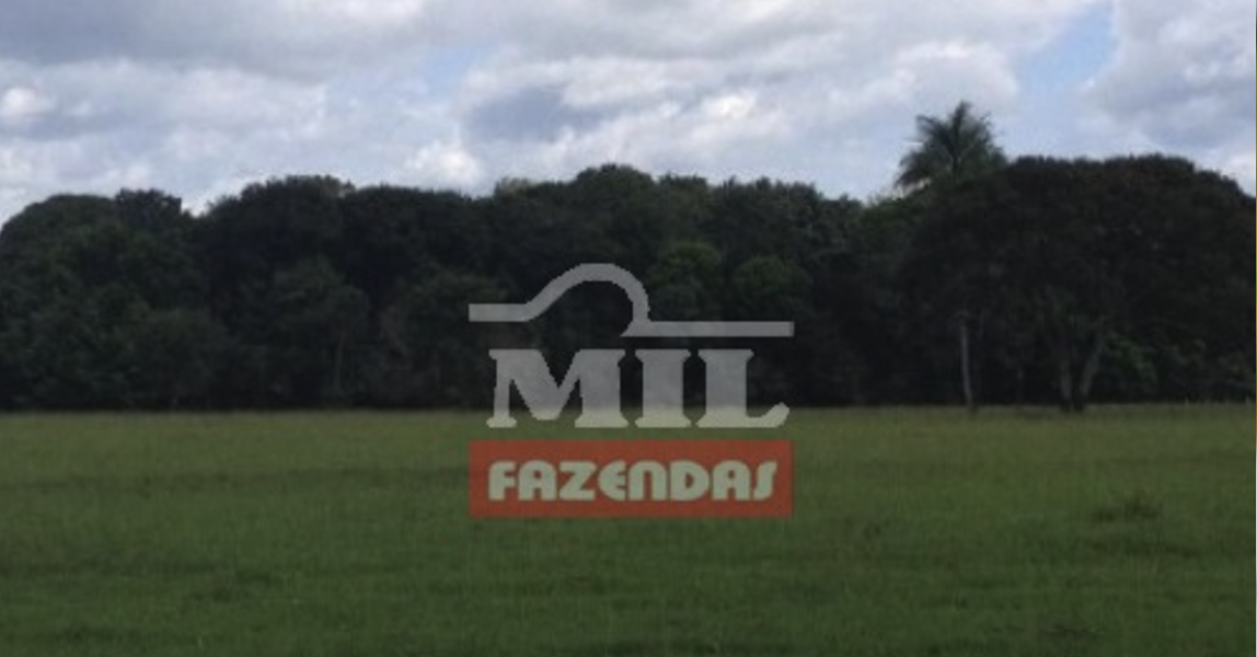 Fazenda em Imperatriz - Maranhão – Mil Fazendas