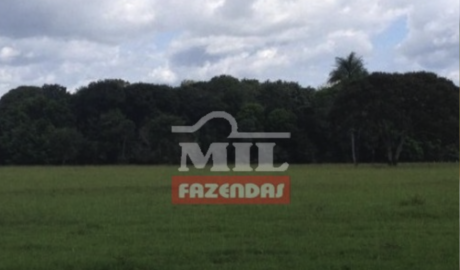 Fazenda em Imperatriz - Maranhão – Mil Fazendas