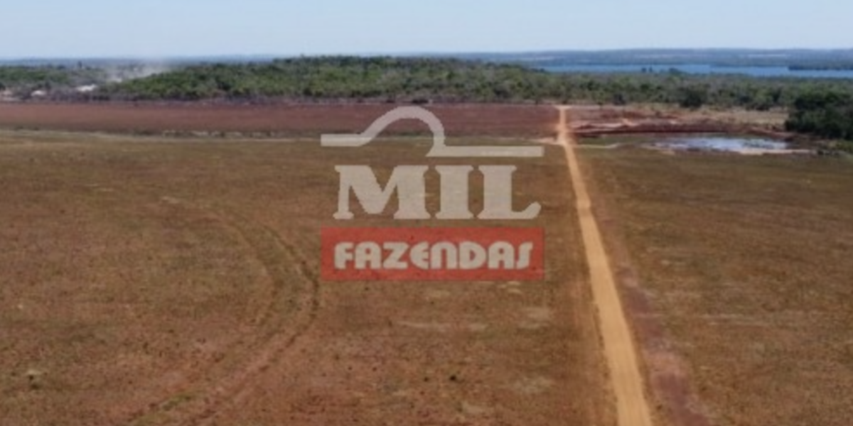 Fazenda em Imperatriz - Maranhão – Mil Fazendas