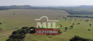 Fazenda em Itapaci - Goiás – Mil Fazendas