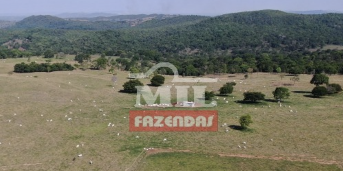 Fazenda em Itapaci - Goiás – Mil Fazendas