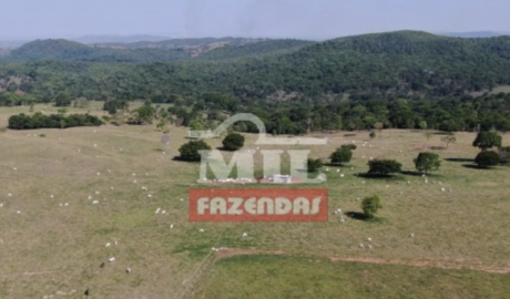 Fazenda em Itapaci - Goiás – Mil Fazendas