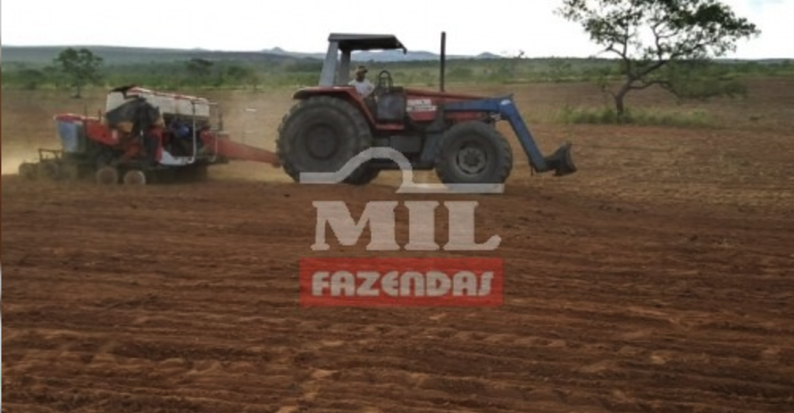 Fazenda em Mambaí - Goiás – Mil Fazendas