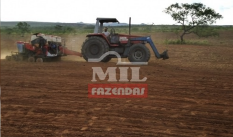 Fazenda em Mambaí - Goiás – Mil Fazendas