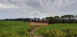 Fazenda em Marabá - Pará – Mil Fazendas