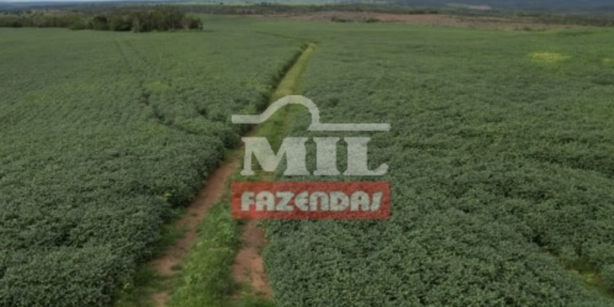 Fazenda em Monte do Carmo - Tocantins – Mil Fazendas