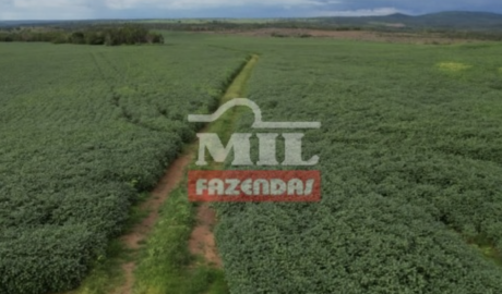 Fazenda em Monte do Carmo - Tocantins – Mil Fazendas