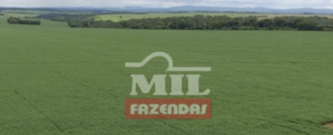 Fazenda em Montividiu - Goiás – Mil Fazendas