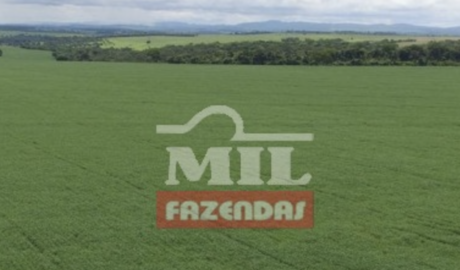 Fazenda em Montividiu - Goiás – Mil Fazendas