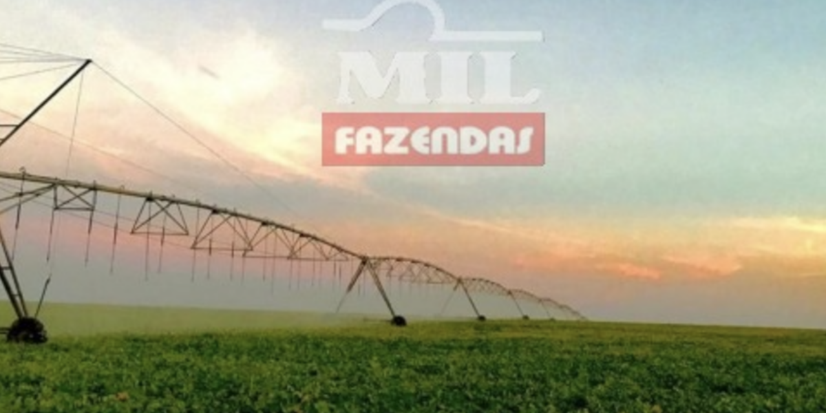 Fazenda em Paracatu - Minas Gerais – Mil Fazendas