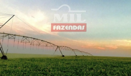 Fazenda em Paracatu - Minas Gerais – Mil Fazendas