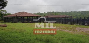 Fazenda em Paraúna - Goiás – Mil Fazendas