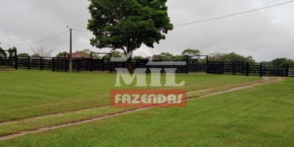 Fazenda em Paraúna - Goiás – Mil Fazendas