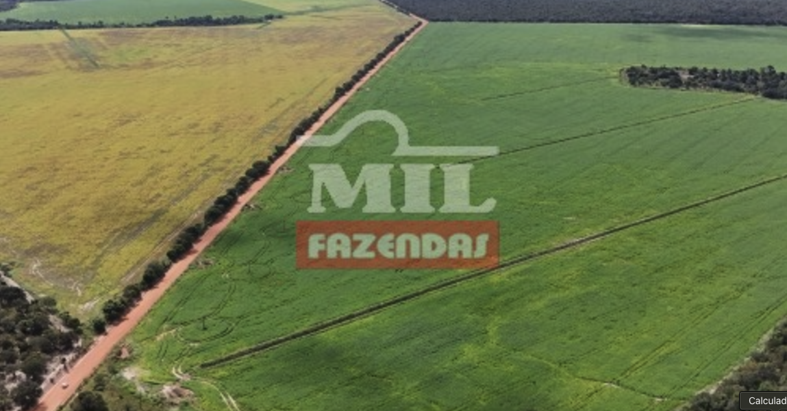 Fazenda em Pium - Tocantins – Mil Fazendas