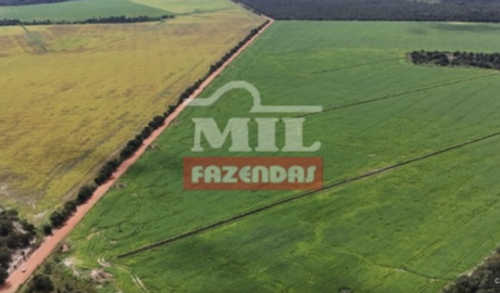 Fazenda em Pium - Tocantins – Mil Fazendas