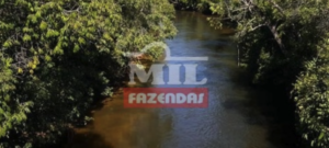 Fazenda em Ponte Alta do Tocantins - Tocantins – Mil Fazendas