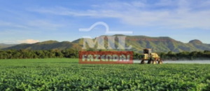 Fazenda em Porto Nacional - Tocantins – Mil Fazendas