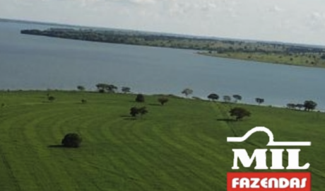 Fazenda em Quirinópolis - Goiás – Mil Fazendas