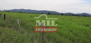 Fazenda em Santa Terezinha - Mato Grosso – Mil Fazendas