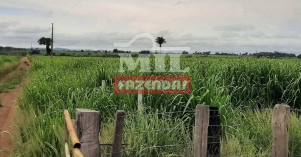 Fazenda em Santa Terezinha - Mato Grosso – Mil Fazendas