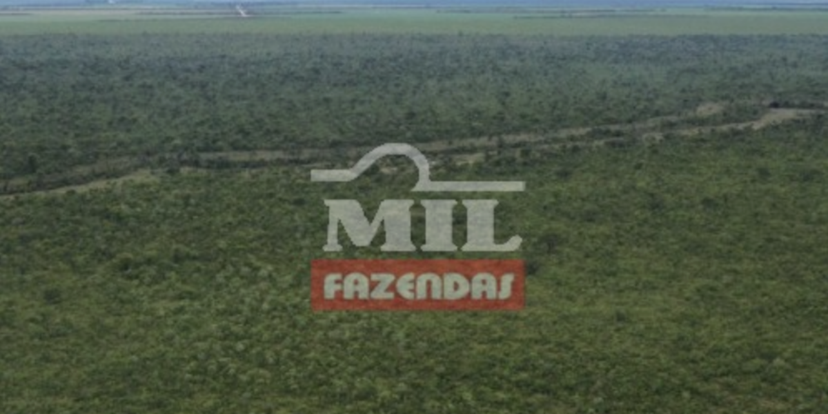 Fazenda em São Desidério - Bahia – Mil Fazendas