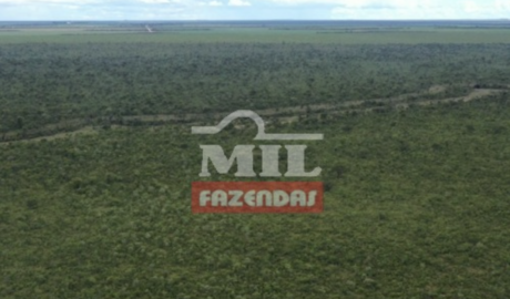 Fazenda em São Desidério - Bahia – Mil Fazendas