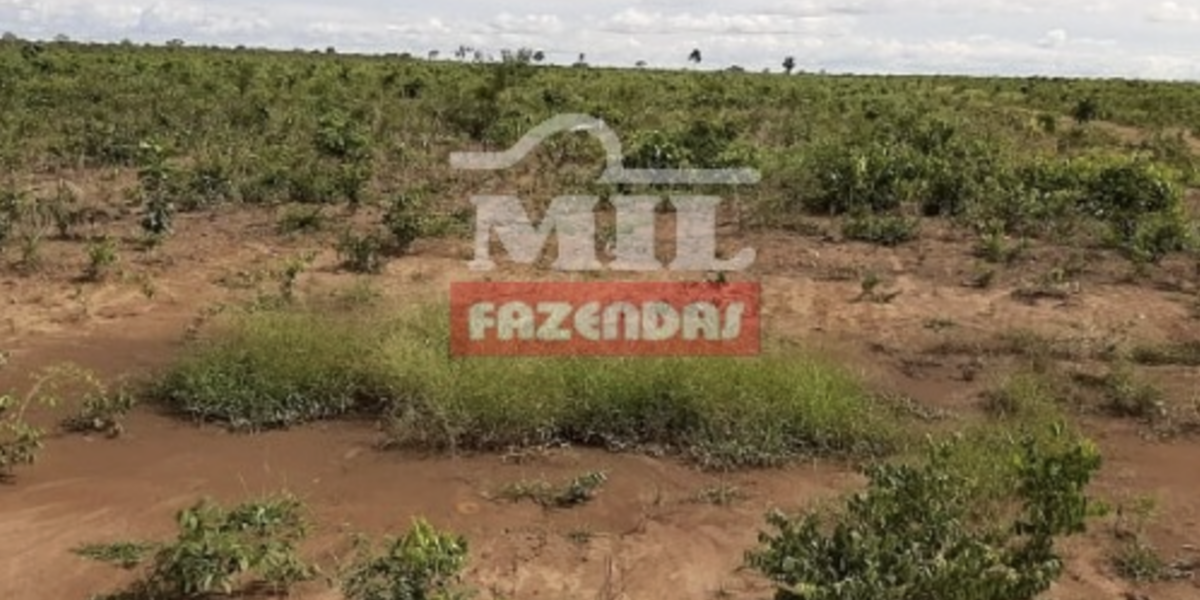 Fazenda em São Desidério - Bahia – Mil Fazendas