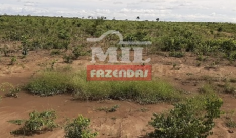 Fazenda em São Desidério - Bahia – Mil Fazendas