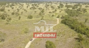 Fazenda em São João d'Aliança - Goiás – Mil Fazendas