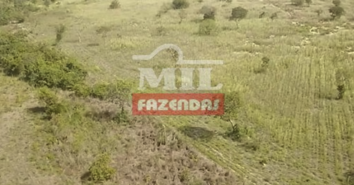 Fazenda em São João d'Aliança - Goiás – Mil Fazendas