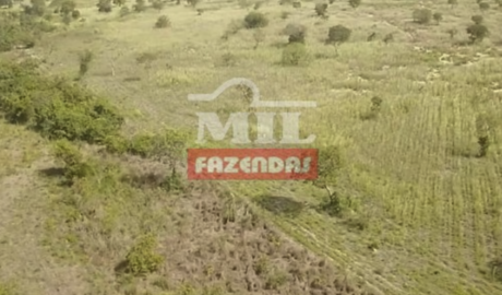 Fazenda em São João d'Aliança - Goiás – Mil Fazendas