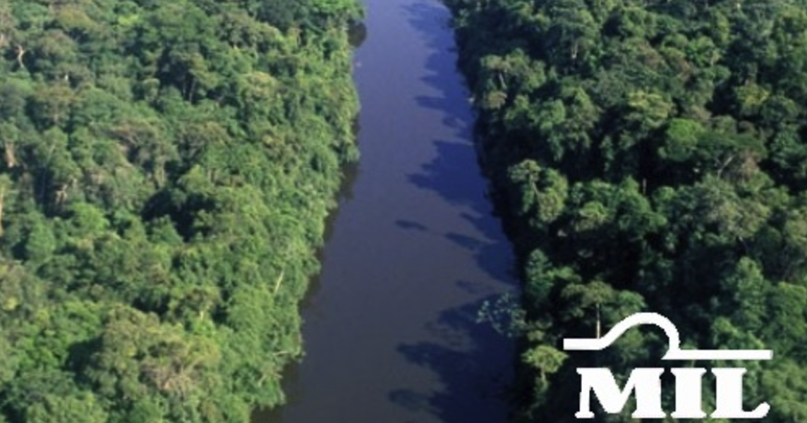 Fazenda em Tailândia - Pará – Mil Fazendas