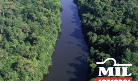 Fazenda em Tailândia - Pará – Mil Fazendas