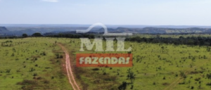 Fazenda em Torixoréu - Mato Grosso – Mil Fazendas