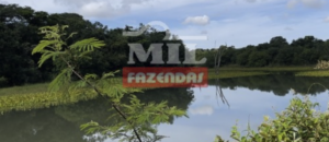 Fazenda em Acreúna - Goiás – Mil Fazendas