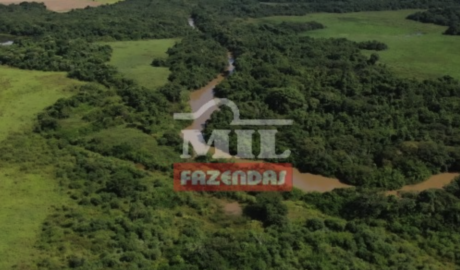 Fazenda em Acreúna - Goiás – Mil Fazendas