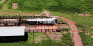 Fazenda em Aragarças - Goiás – Mil Fazendas