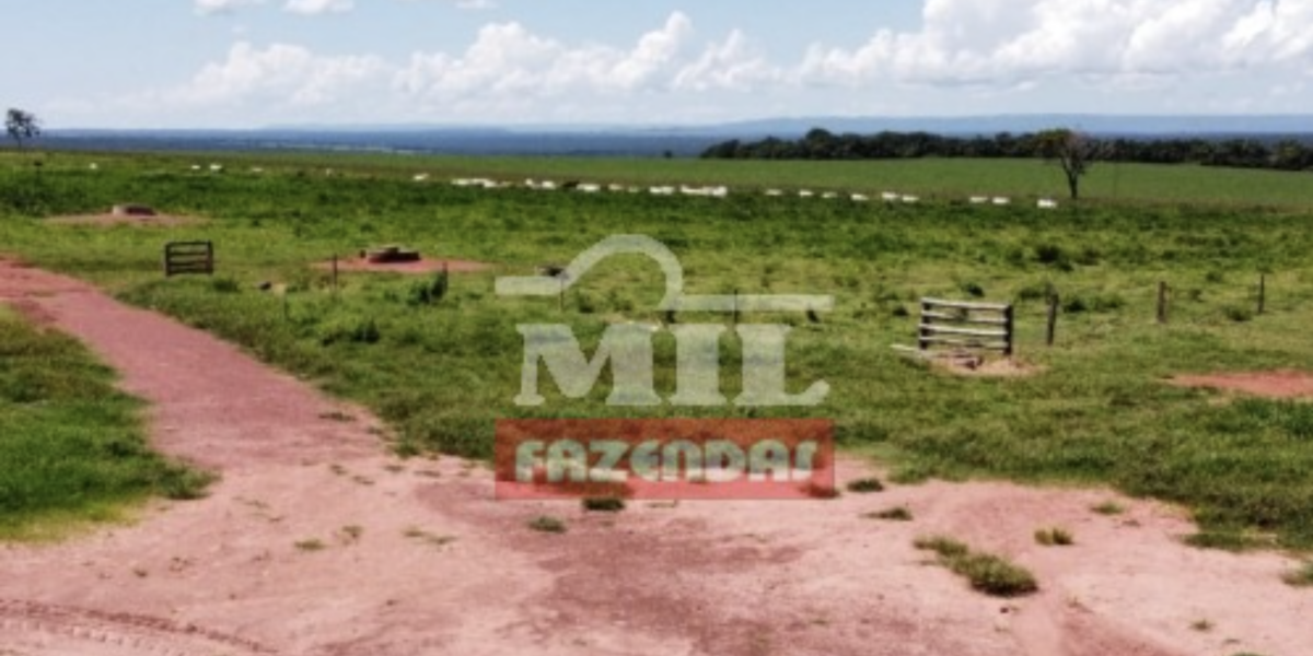 Fazenda em Aragarças - Goiás – Mil Fazendas