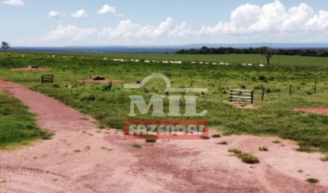 Fazenda em Aragarças - Goiás – Mil Fazendas