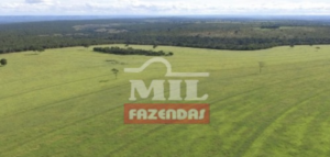 Fazenda em Araguainha - Mato Grosso – Mil Fazendas