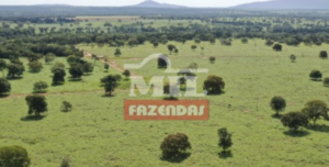 Fazenda em Araguapaz - Goiás – Mil Fazendas