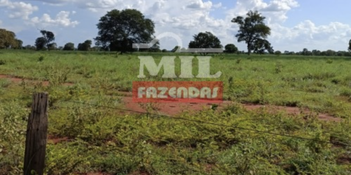 Fazenda em Araguapaz - Goiás – Mil Fazendas