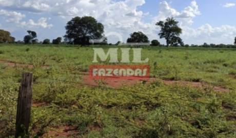 Fazenda em Araguapaz - Goiás – Mil Fazendas