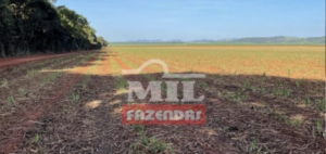 Fazenda em Ceres - Goiás – Mil Fazendas