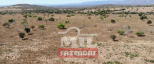 Fazenda em Colinas do Sul - Goiás – Mil Fazendas