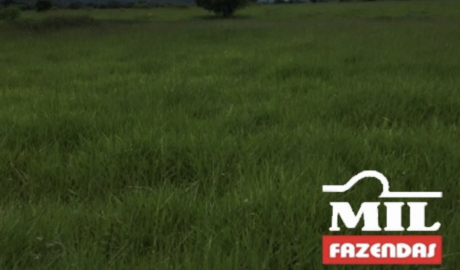 Fazenda em Confresa - Mato Grosso – Mil Fazendas