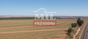 Fazenda em Gaúcha do Norte - Mato Grosso – Mil Fazendas