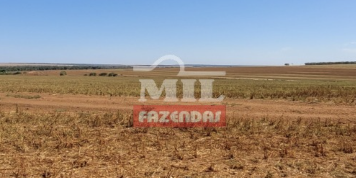 Fazenda em Gaúcha do Norte - Mato Grosso – Mil Fazendas