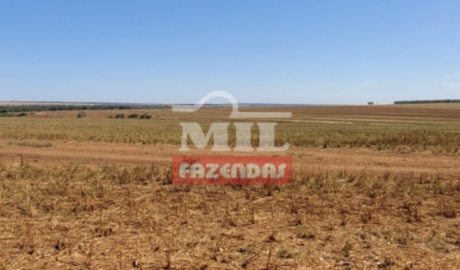 Fazenda em Gaúcha do Norte - Mato Grosso – Mil Fazendas